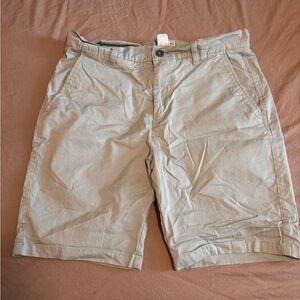 Free Planet Men's Light Green Flat Front Shorts